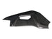 Aprilia Rsv4 Extreme Components / Swingarm Protector (Carbon Fibre | 09-19) Race Fairings