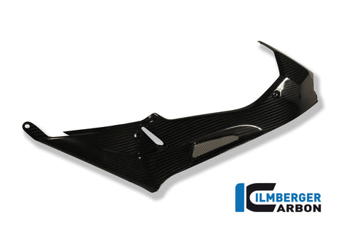 Ilmberger Carbon | BMW S1000RR [2010-19] | Tank Side Panel [Right]