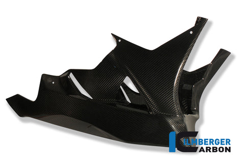 Ilmberger Carbon | BMW S1000RR [2010-19] | Bellypan