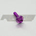 Probolt | Aluminium Bodywork Bolt Race Spec M6 X (1.0Mm) 25Mm Etched Purple